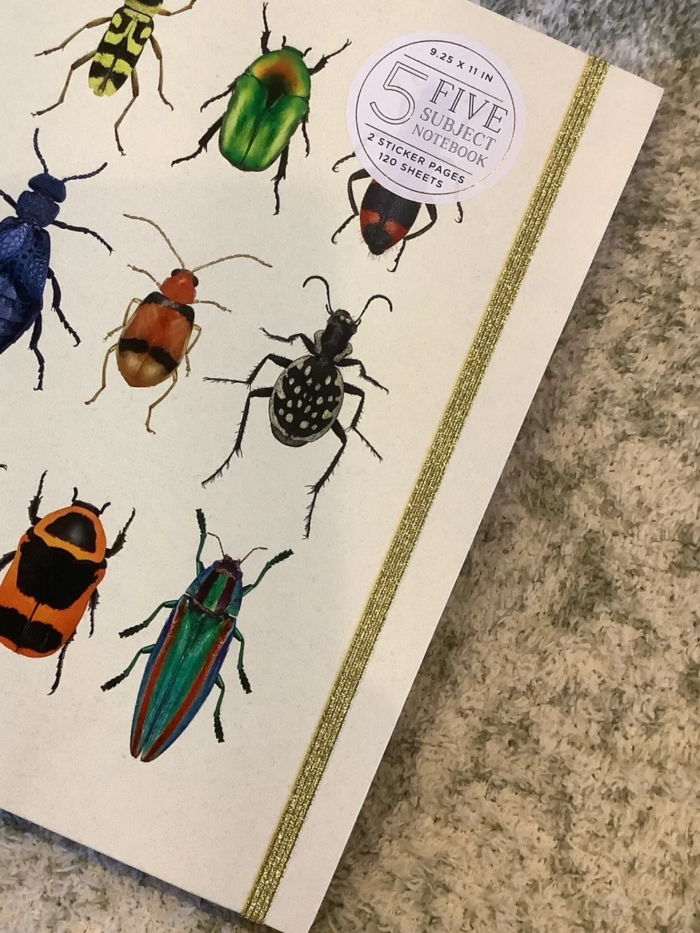 James Burke Collection Colorful Bugs Five Subject Notebook NWT 9.25x11” 120 page